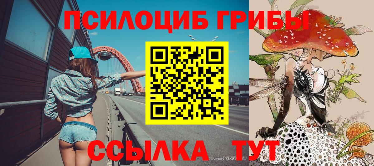 Галлюциногенные грибы прущие грибы Владикавказ