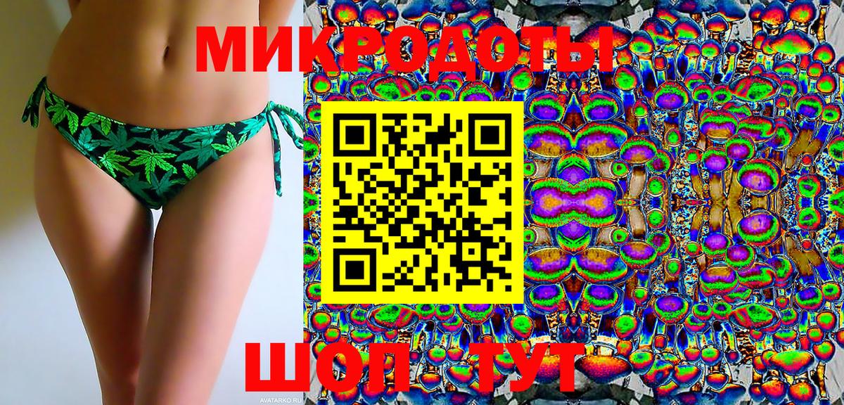 Галлюциногенные грибы Psilocybe  Вход с VPN  цены наркотик  Владикавказ 
